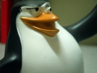 3025125260_20ae058f42_m